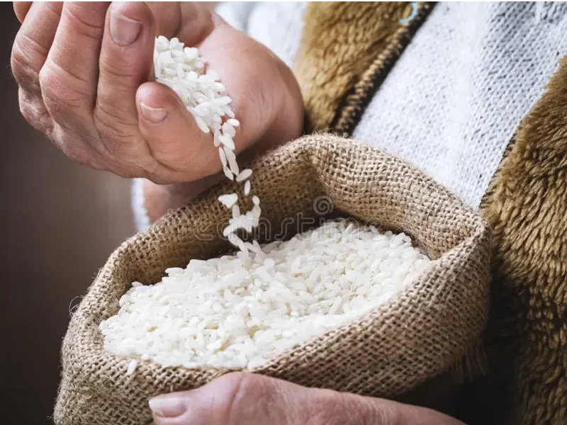 Qual a diferença entre os tipos de arroz?